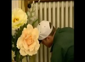 две красотки занимались фистингом а потом подошел парень